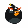 Angry Birds black bird