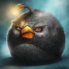 Angry Birds black bird