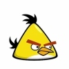 Angry Birds yellow bird
