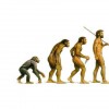 эволюция и человек