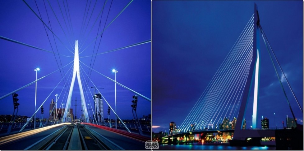 Мост Эразма — Роттердамский Лебедь