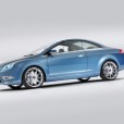  Vignale