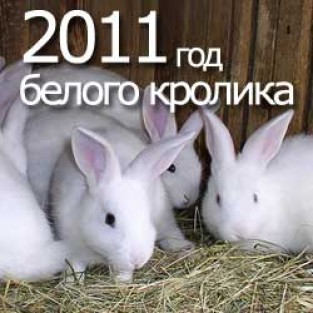 Поздравление с Новым 2012 годом Дракона!