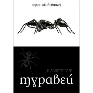 Шарлотта Слей «Муравей» 