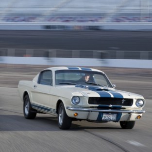 Shelby GT350