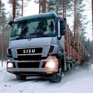 Sisu