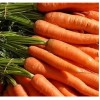 Морковка как произведение искусства 