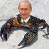 Путин не краб