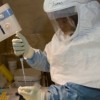 Ученые разгадали «секрет» вируса Эбола