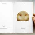 Была хрюшка – стала книжка