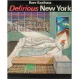 Delirious New York