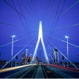 Мост Эразма — Роттердамский Лебедь
