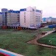 Покраска травы